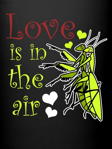 Praying Mantis Love