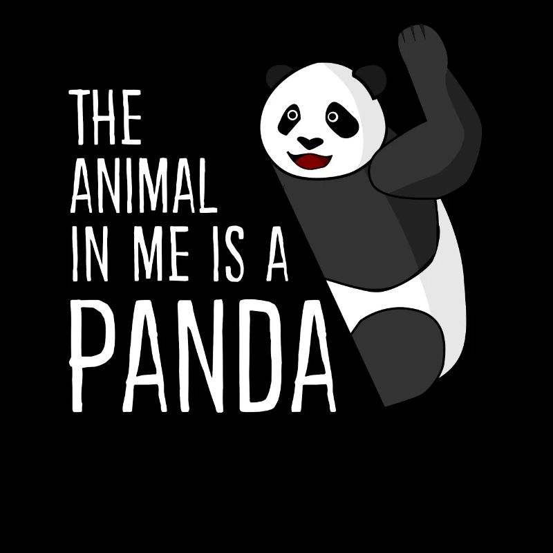 Panda Ours Pandas Panda Géant