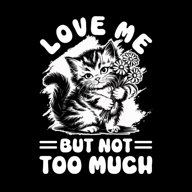 Chat Gras Gros Chat Humour Mème