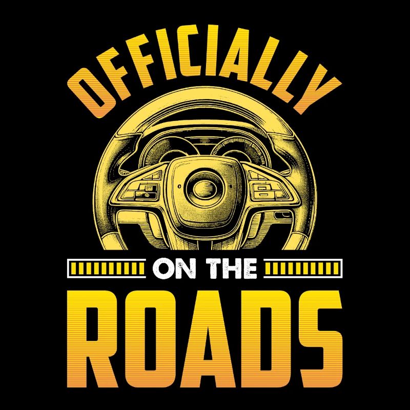 Driving School Driving Instructor