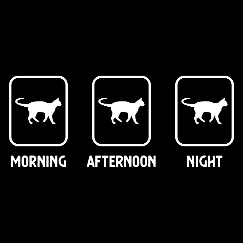 Matin, après-midi, soir et chat - (3)