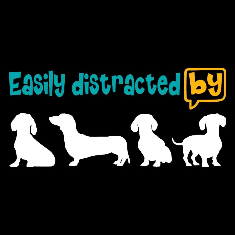 Enthousiaste à propos du teckel, facilement distrait par le teckel.