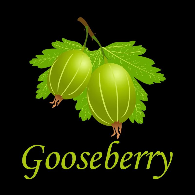 Stachelbeere vegan bio gesund Geschenkidee