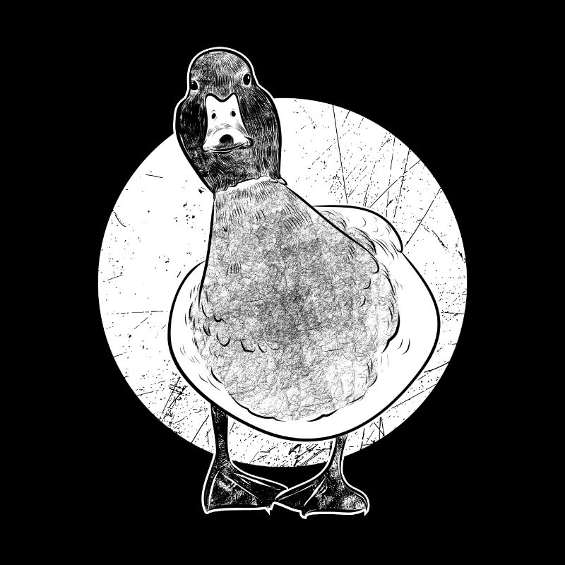 Duck pond migratory bird water bird beak