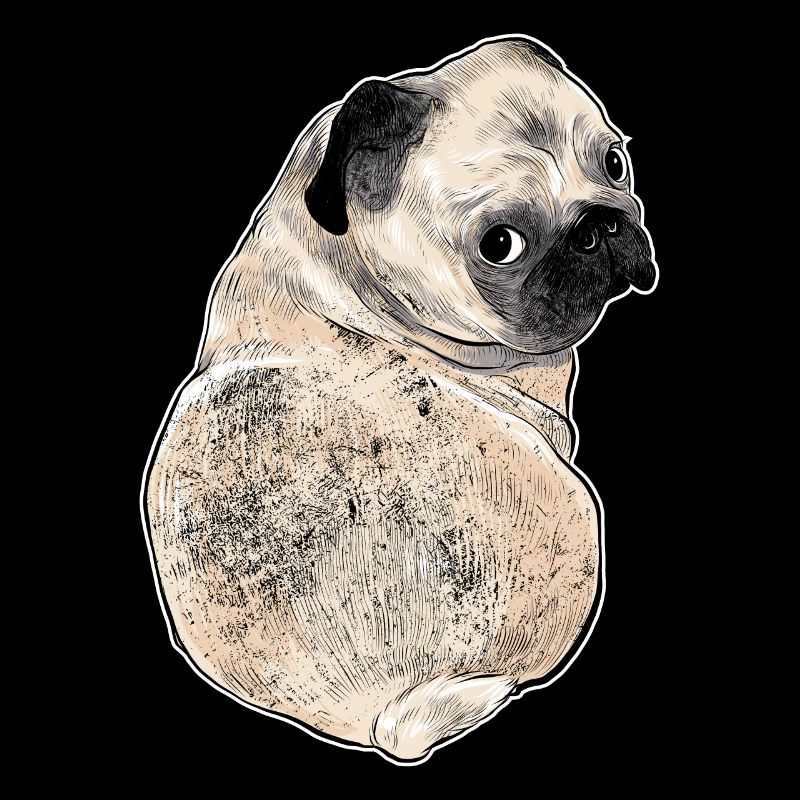 carlin drôle avec le regard de chien mignon