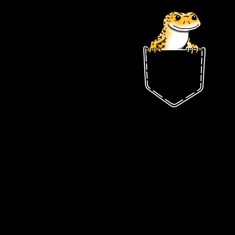 Gecko Leopard Bag Lizard Reptile Gift