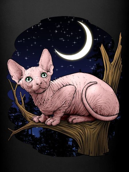 Sphynx