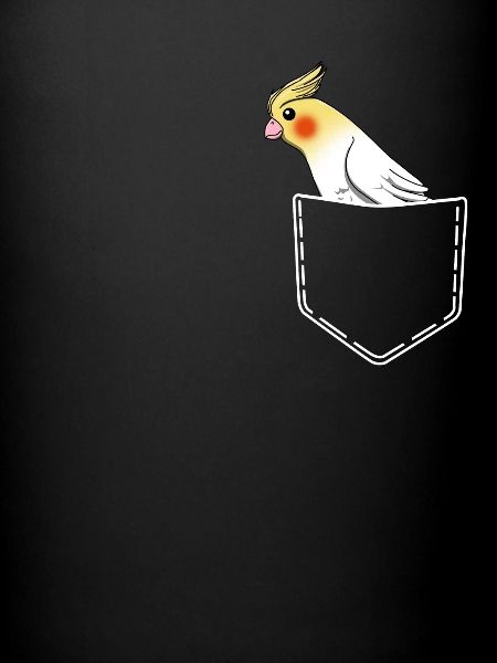 Perruche perroquet oiseau cockatiel