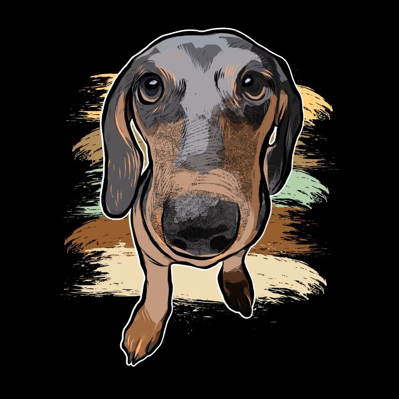 dachshund