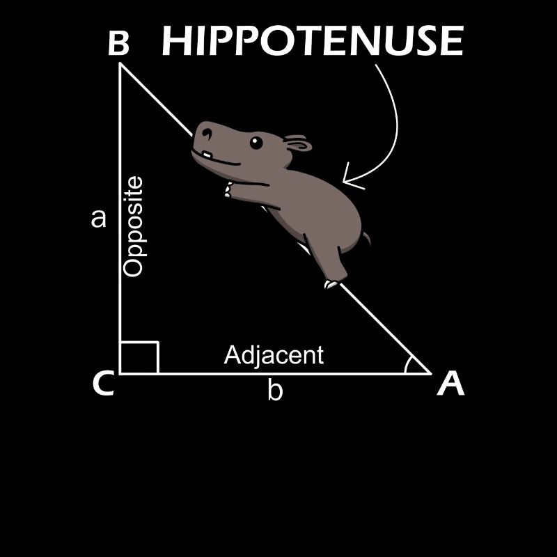 Math Hippotenuse Hypotenuse Professeur de mathématiques