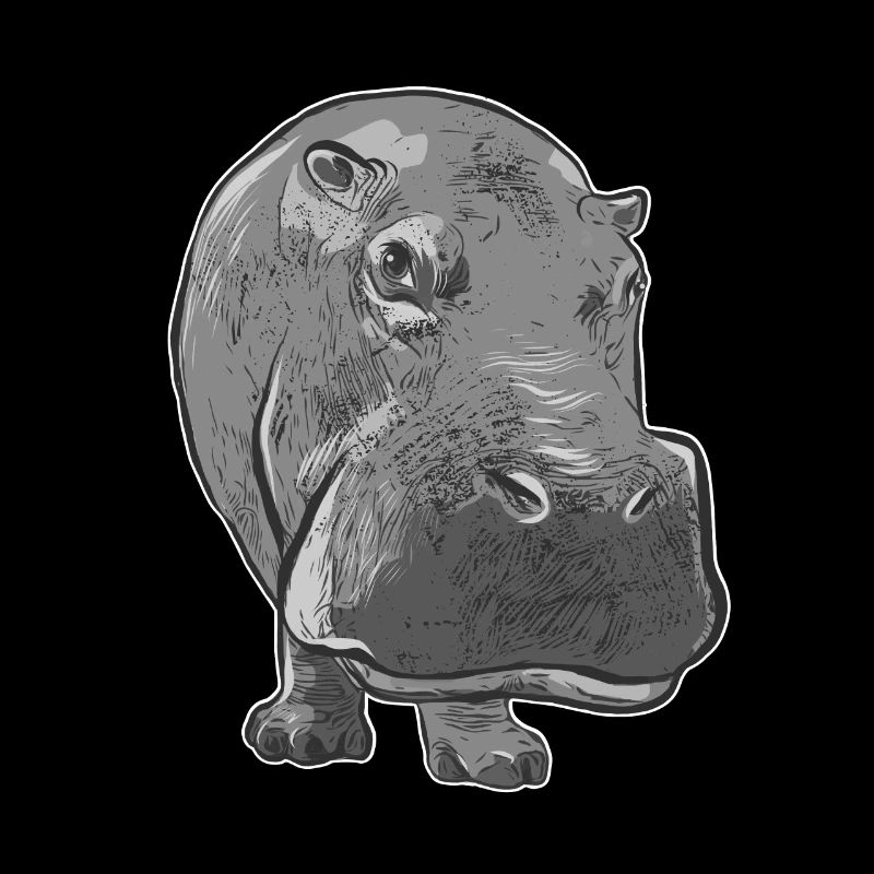 hippopotame