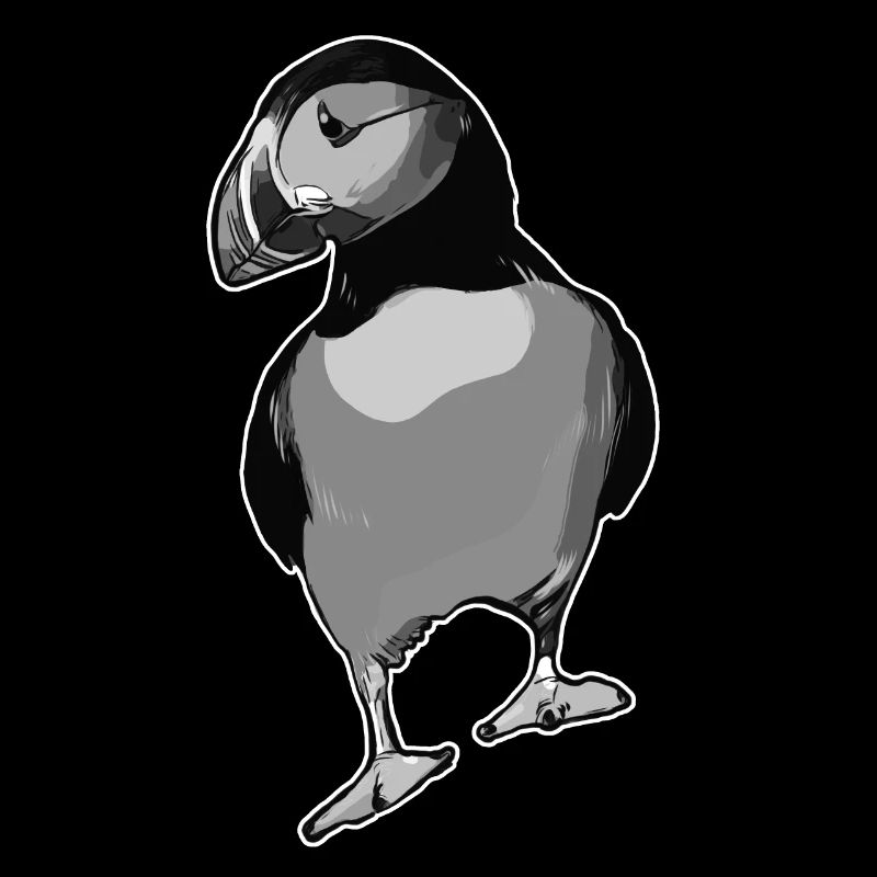 Puffin Bird Atlantic