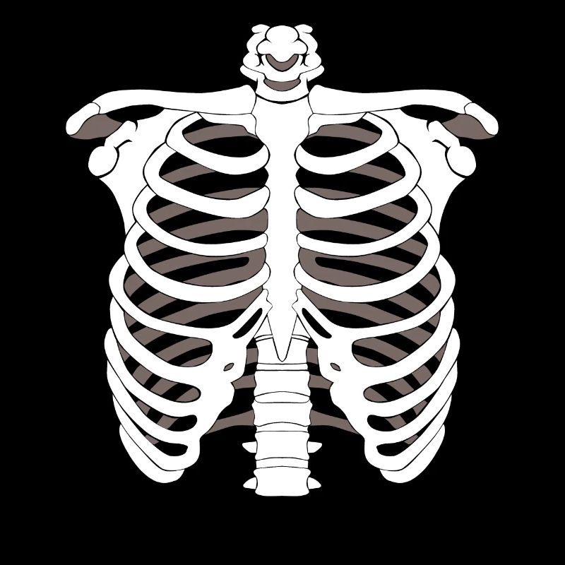 Skelett Gerippe Halloween Knochen Knochenskelett