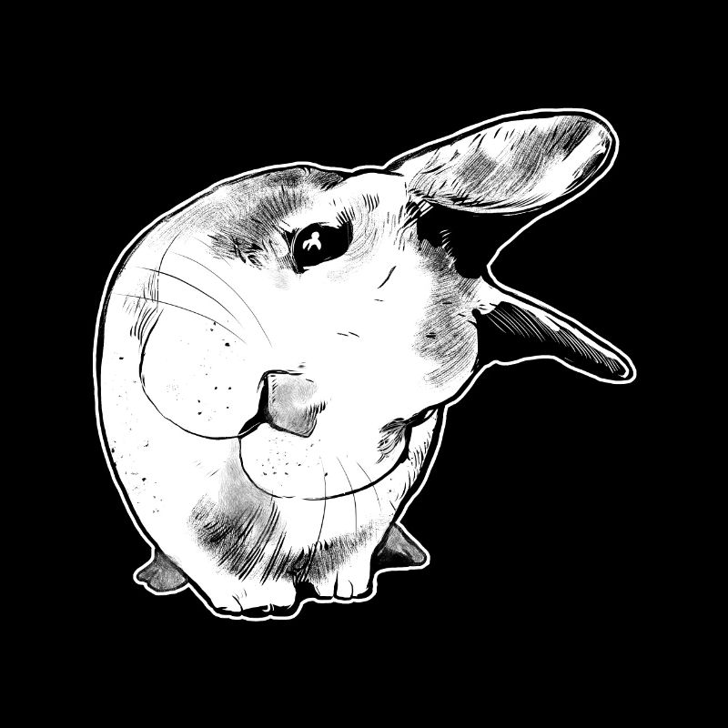 Bunny rabbit hugging pet cute animal