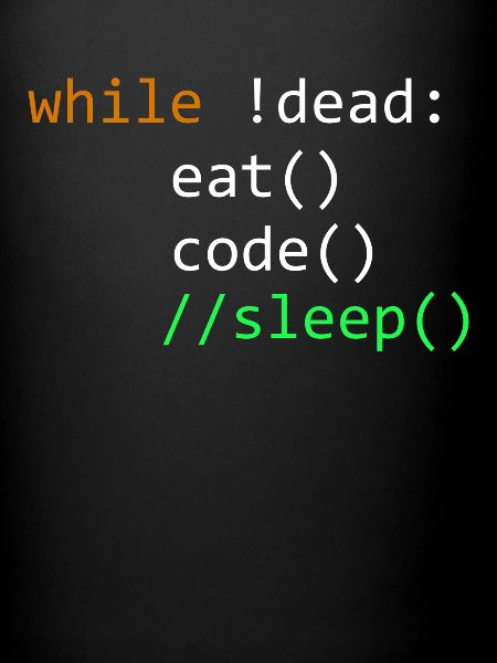 Programmeur développeur informatique