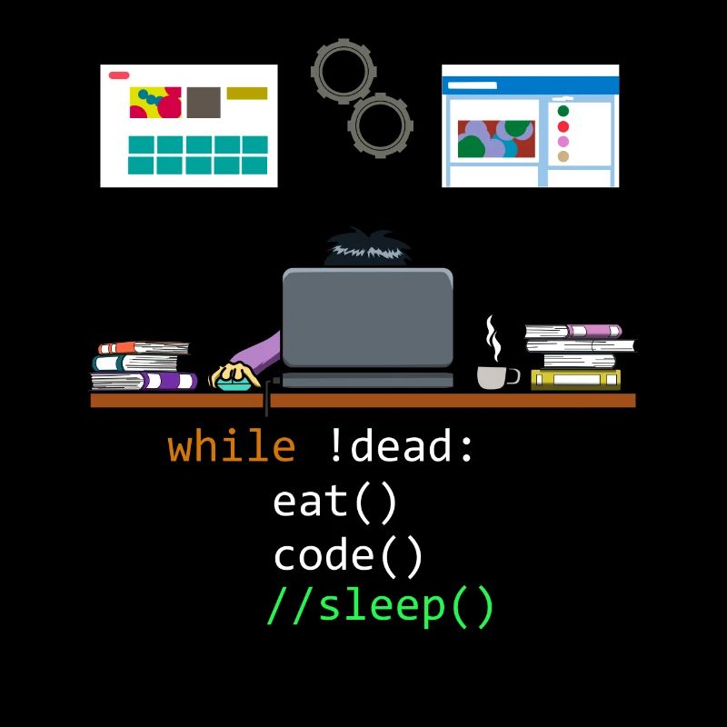 Programmeur développeur informatique
