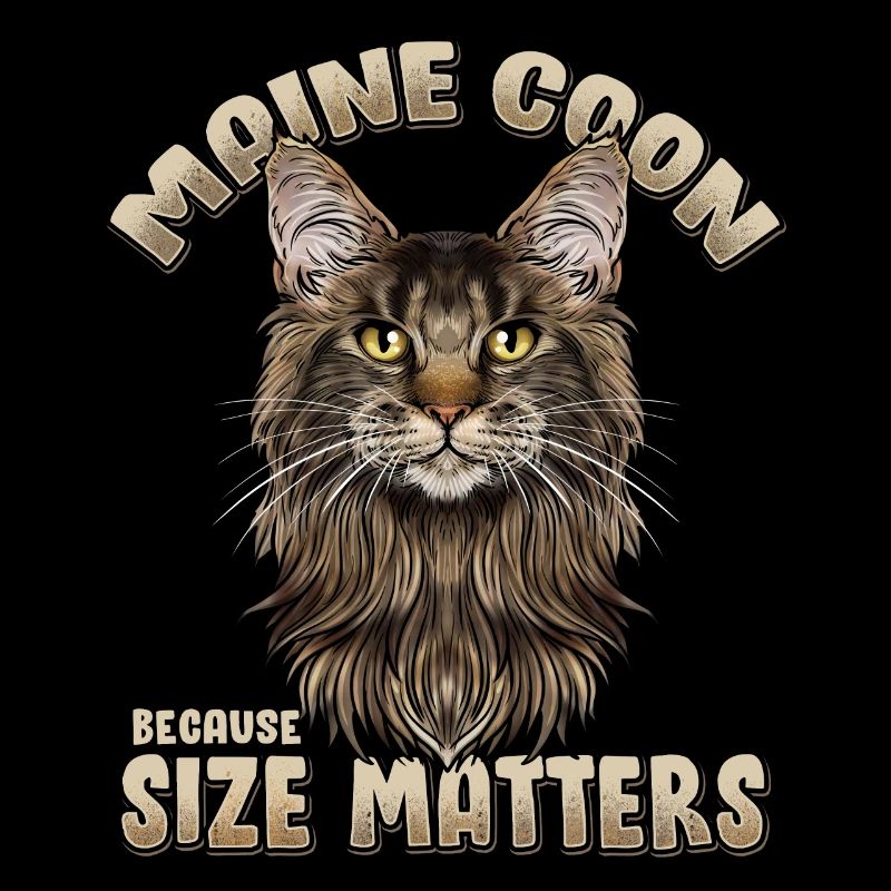 Maine Coon Chat