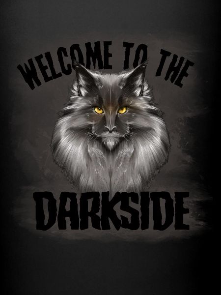 Chat Maine Coon