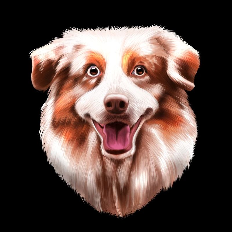 Australian Shepherd Aussie