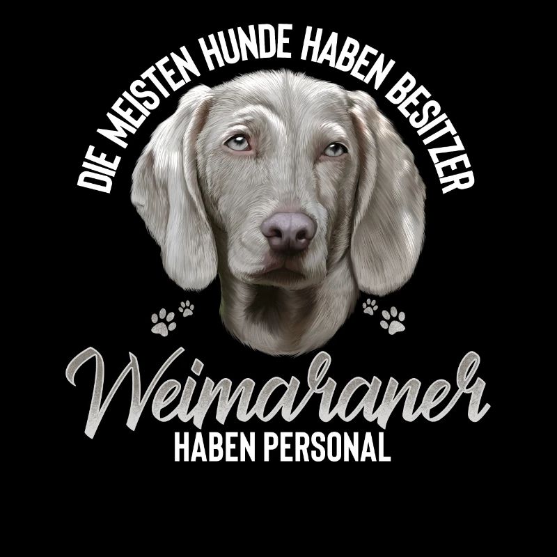 Weimaraner Hund Hunderasse