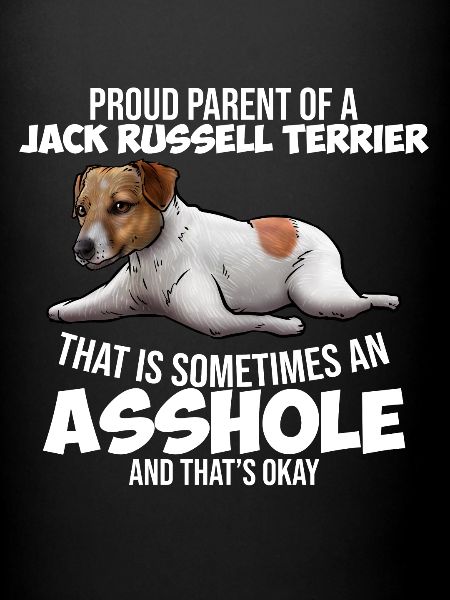 Chien Jack Russell Terrier