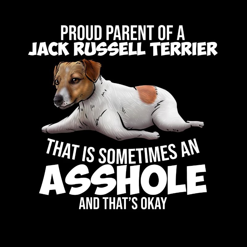 Jack Russell Terrier Hund