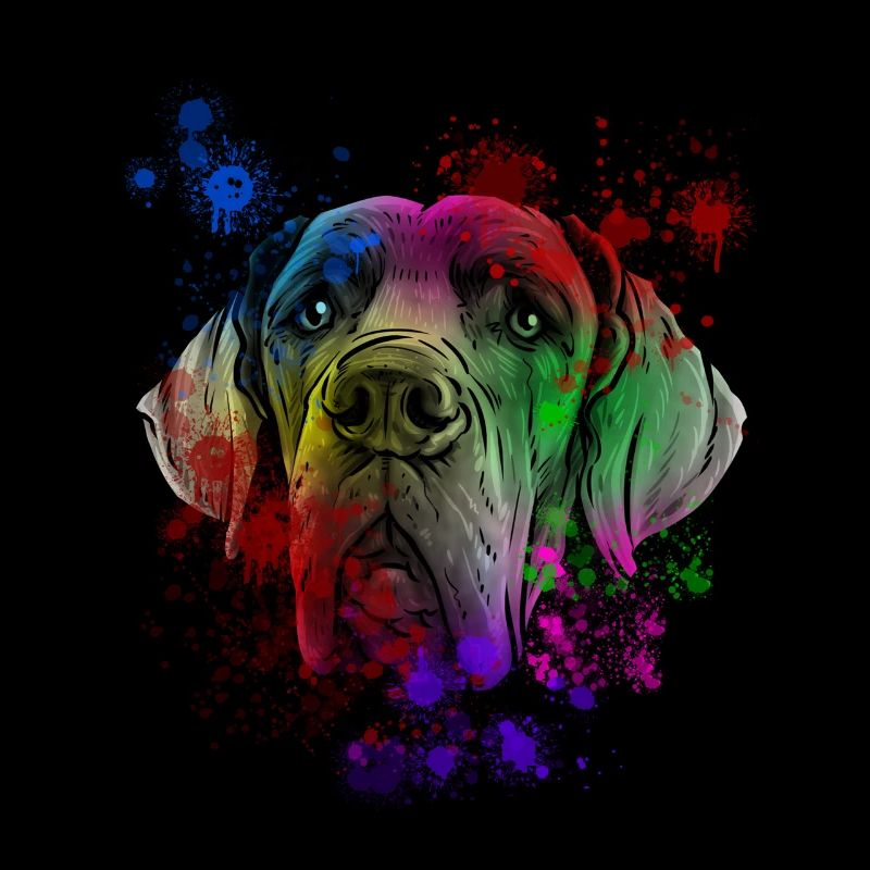 Great Dane dog