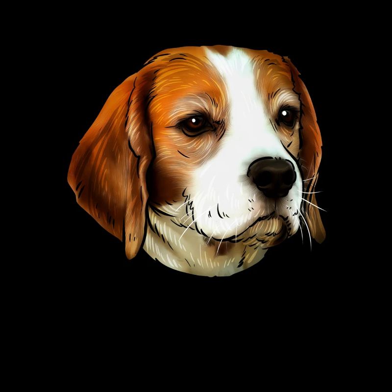 Beagle dog portrait