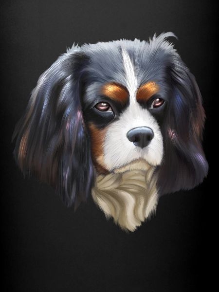 Chien King Cavalier