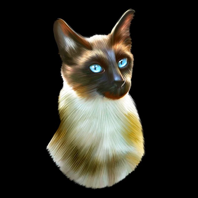 Siamese cat portrait