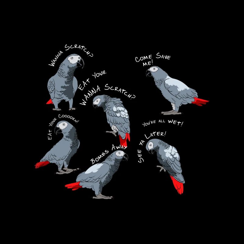 Énonciations de perroquet gris d'Afrique