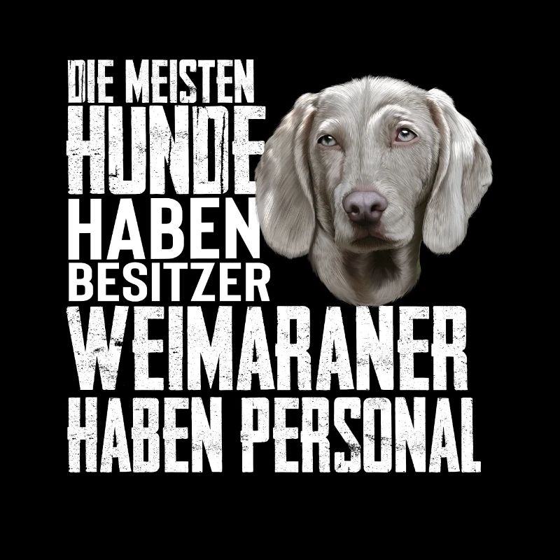 Weimaraner Hund