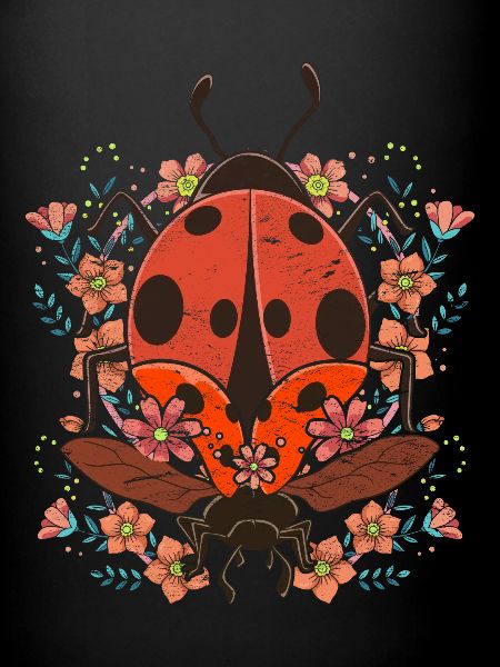 Coccinelle