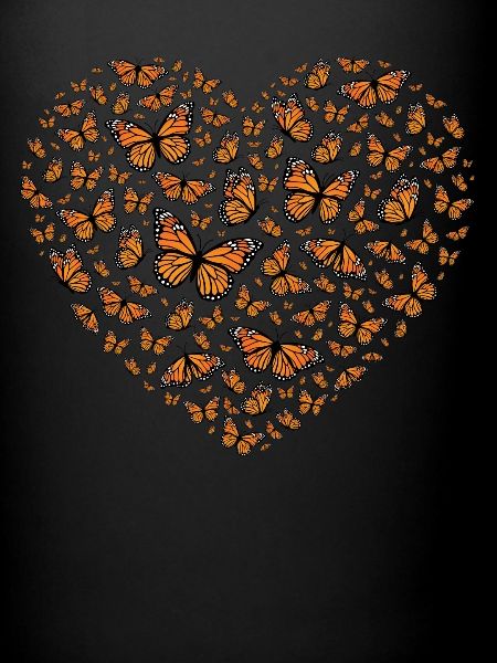Papillon monarque
