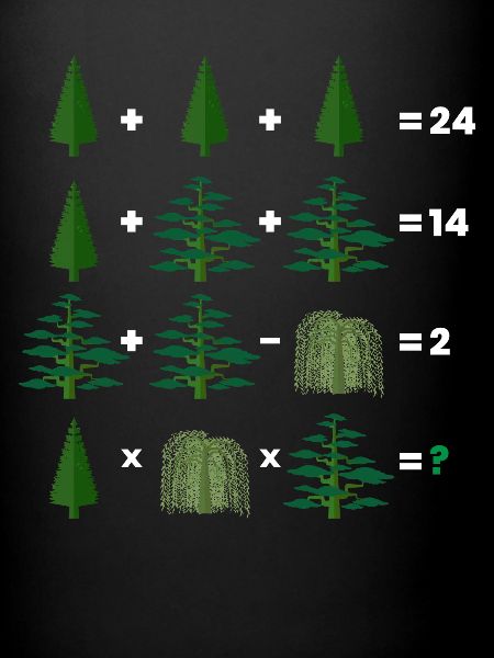 Math Teacher Equation
