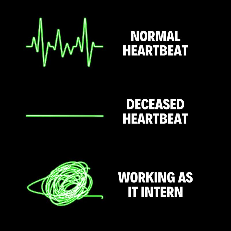 IT Intern Worker IT Computer