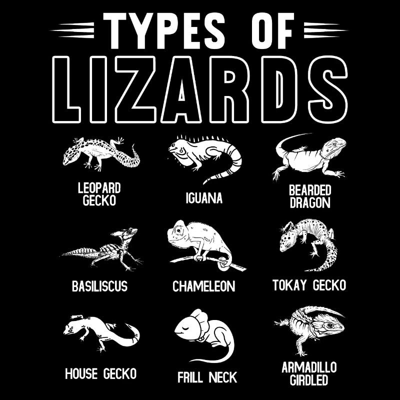 Types de lézards, lézards, reptiles