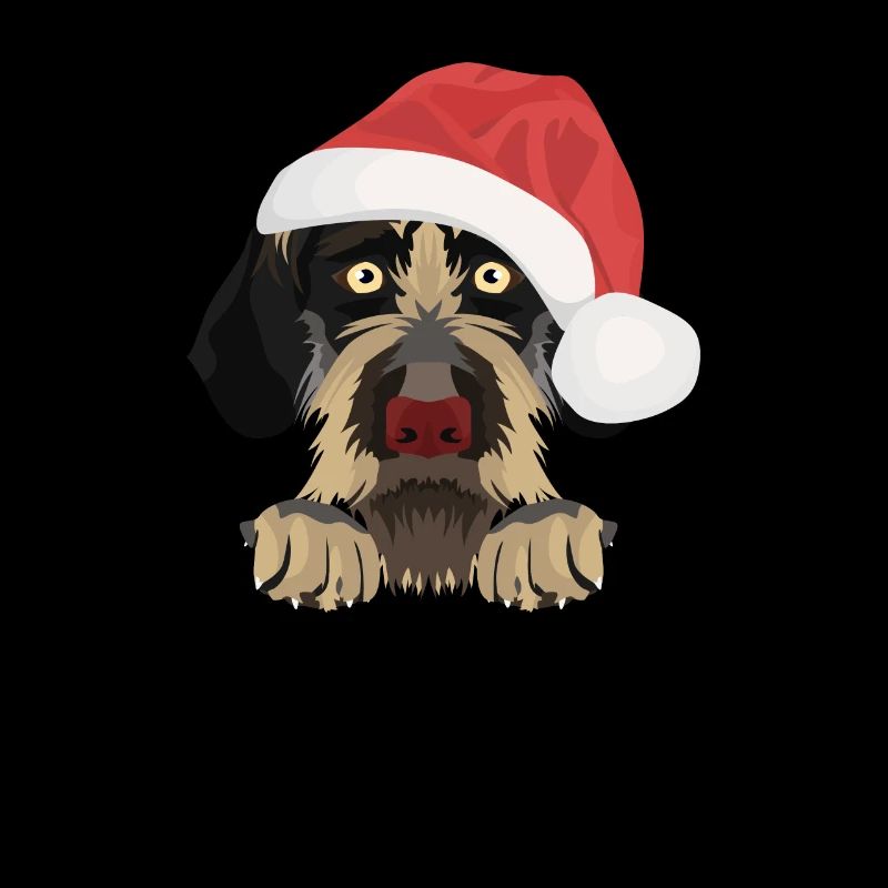 German Wirehair Joyeux Noël