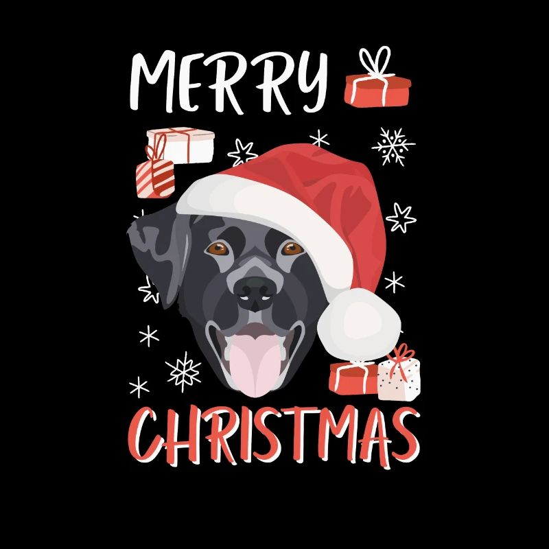 Joyeux Noël Labrador