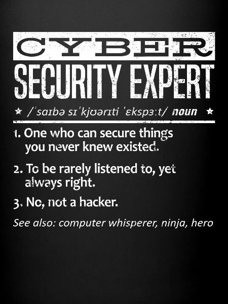 Cybersecurity Expert