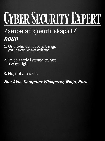 Expert en cybersécurité
