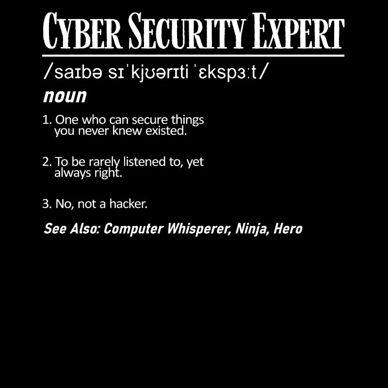 Expert en cybersécurité