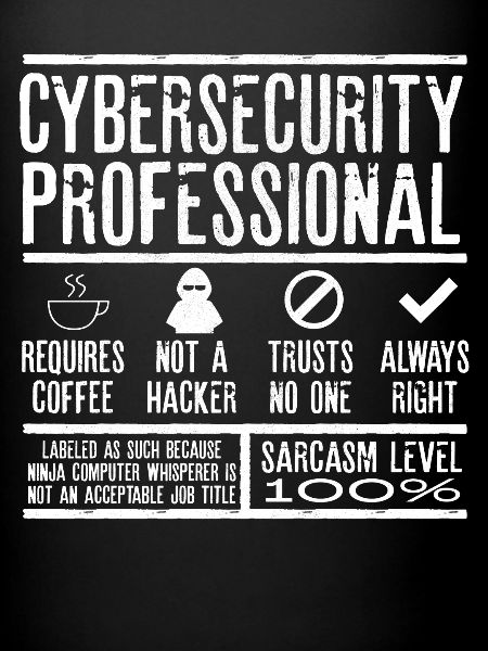 Expert en cybersécurité