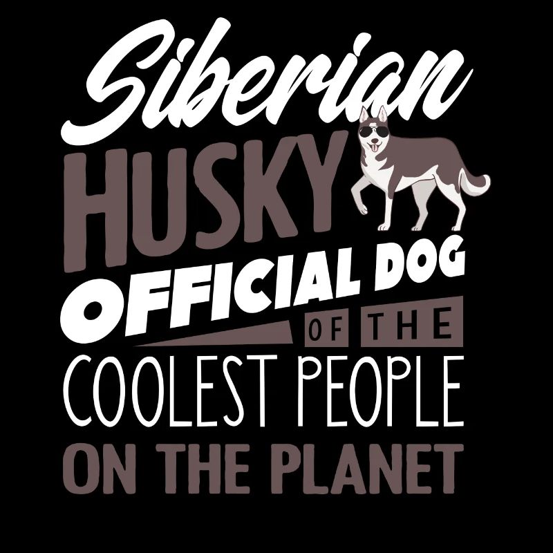 Husky sibérien