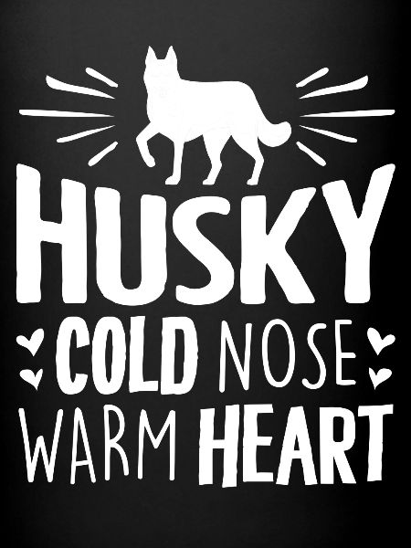 Husky sibérien