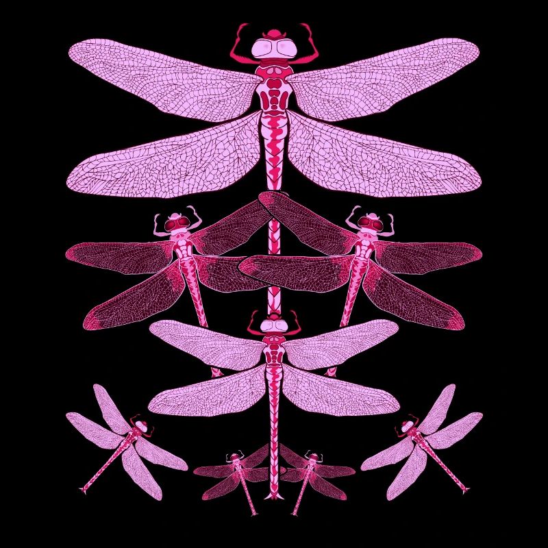 Insect Lover Animal Insect Gift Dragonfly