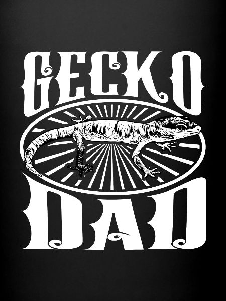 Gecko propriétaire - Gecko Papa