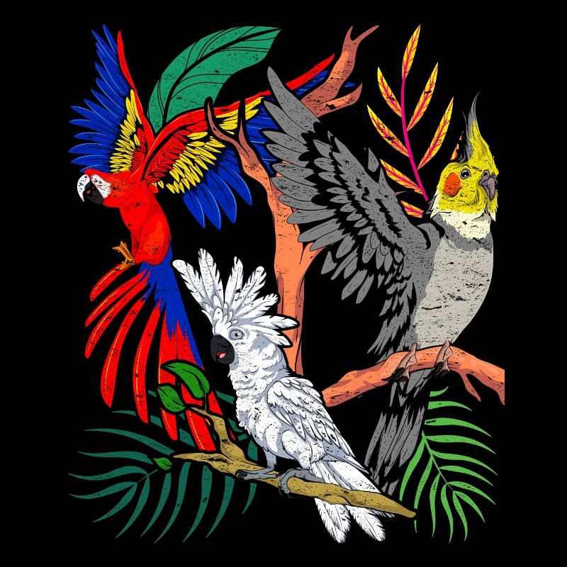 Nymphensittich Kakadu Vogel Tier Geschenk Papagei