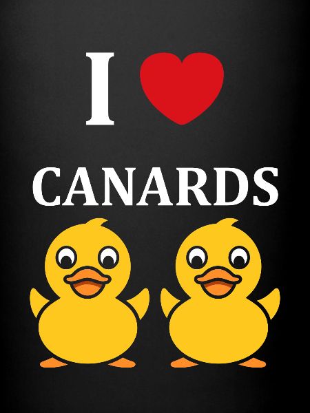 Petit canard
