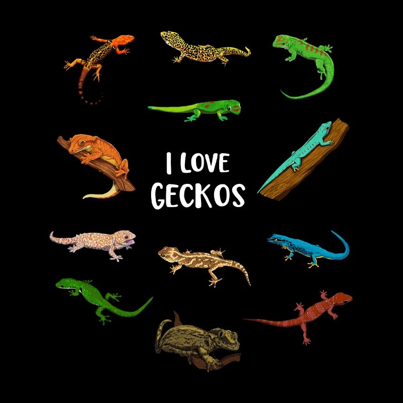 J’adore les geckos